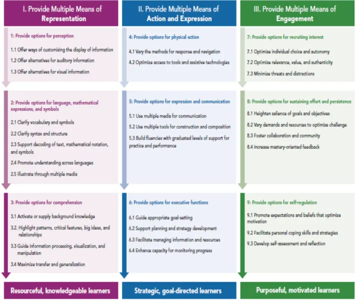 Figure 1. UDL Guidelines. Source: CAST 2012. http://www.cast.org/research/udl