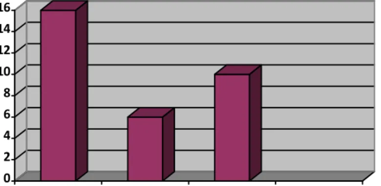 Graphic 1. “Experimental Group Pretest Analysis”. 02468 10121416