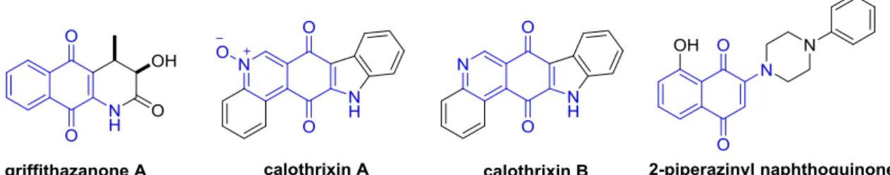 Fig. 1 2-amino-1,4-napthoquinone-type compounds with anticancer activities.