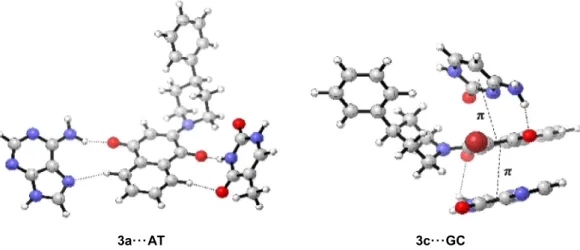 Fig. 7 Intermolecular complexes formed between 3a–c and Watson-Crick base pairs stabilized by hydrogen-bonding and p-stacking interactions.