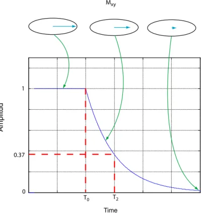 Figure 3.6: T1, return to equilibrium time.