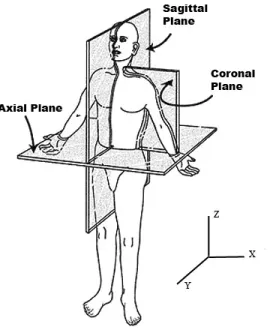 Figure 3.12: The different views of the human anatomy used to analyze CT and MRIs.[14]