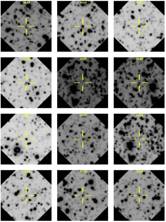 Figure A1 – continued
