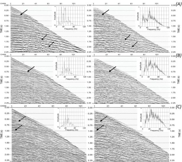 Figure 1. An example of three shot gathers and their amplitude spectra (insets) (panel (A–C)) before  (left panels) and after WED (right panels) along the seismic lines