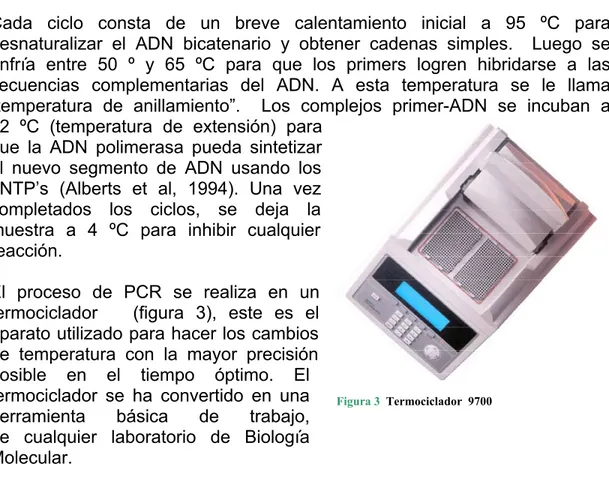 Figura 3  Termociclador  9700 