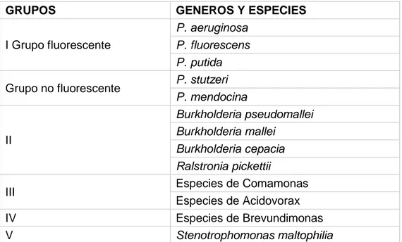 Cuadro 1. Clasificación de las Pseudomonas según la homología de ARNr/ADN 