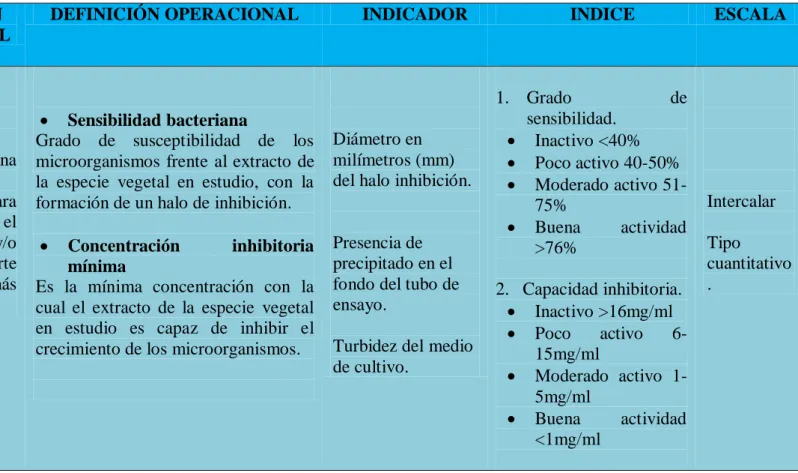 CUADRO Nº 02  VARIABLE  DEPENDIENTE  (Y)  DEFINICIÓN  CONCEPTUAL 