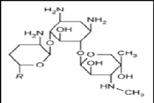 Figura 02: Estructura química de gentamicina 