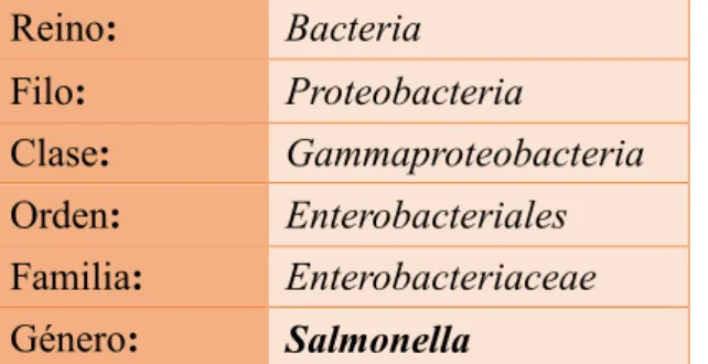 TABLA N° 4: Clasificación taxonómica de Salmonella  Fuente: Wikipedia  (8)