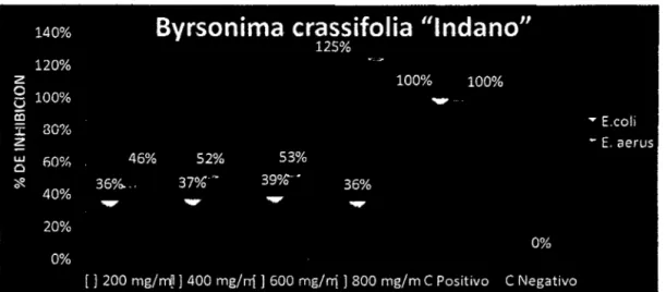 GRÁFICO  03:  Resultados Obtenidos de la  Actividad Antibacteriana in vitro del  Enraeto Etanólieo Fraccionado de la Corteza de  ByFsonima 