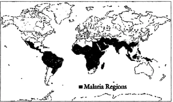Figura 2 : Mapa de distribución de la malaria en el mundo. 