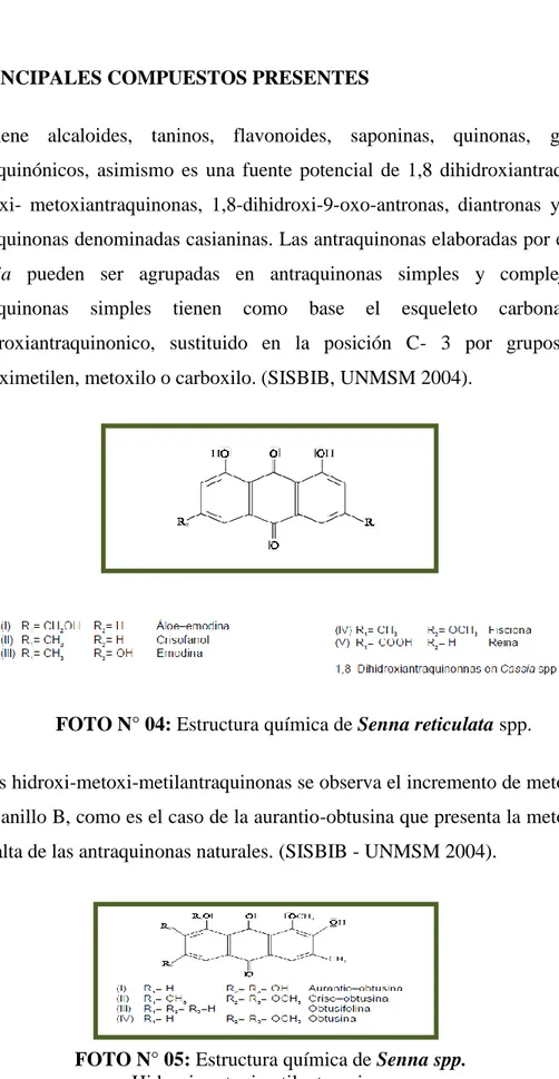 FOTO N° 04: Estructura química de Senna reticulata spp. 