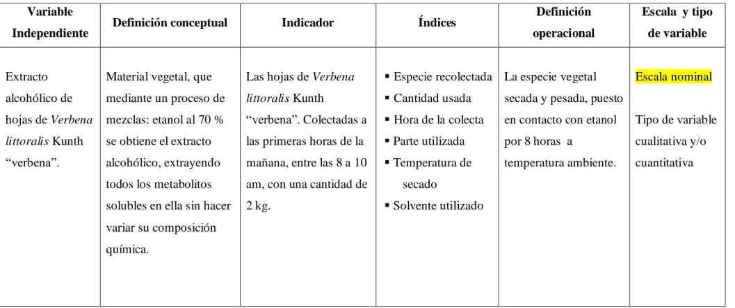 Cuadro Nº 1: VARIABLE INDEPENDIENTE 