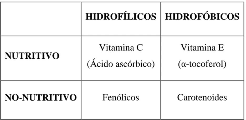 Tabla 04. Clasificación de antioxidantes de acuerdo a su solubilidad y valor nutritivo  (76)