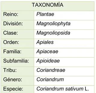 TABLA N° 1: Clasificación Taxonómica del Culantro  (Coriandrum sativum) 