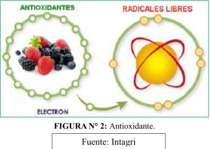 FIGURA N° 2: Antioxidante.