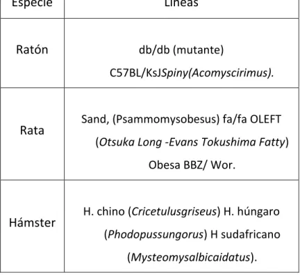 TABLA Nº02. Algunos modelos animales que desarrollan DM2 y severa hiperglucemia 