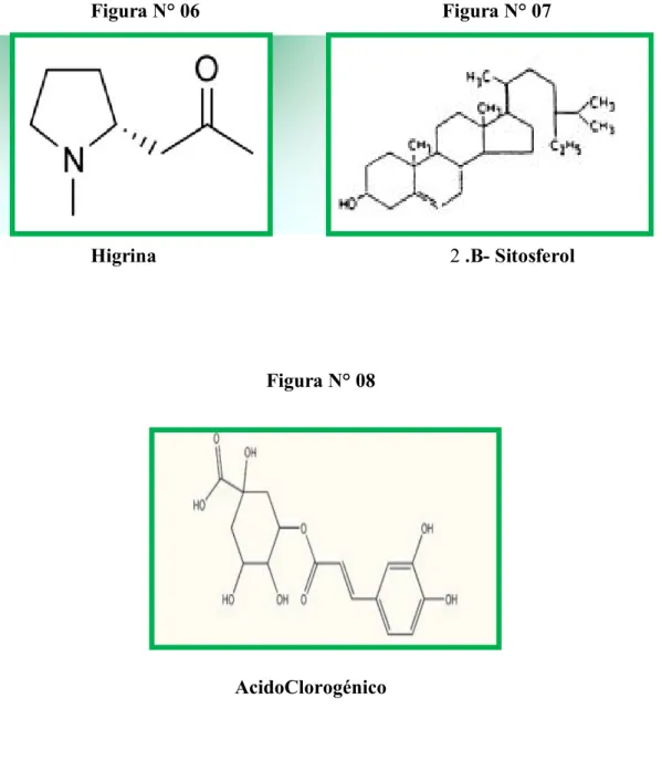 Figura N° 06 Figura N° 07