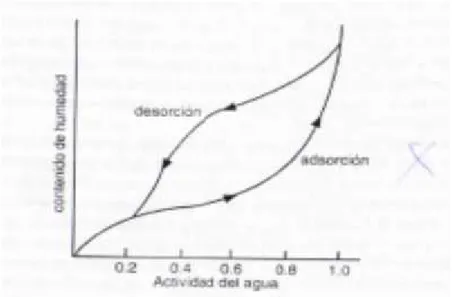 Figura N o 01. Curvas típicas de las Isotermas de adsorción y desorción de los alimentos.