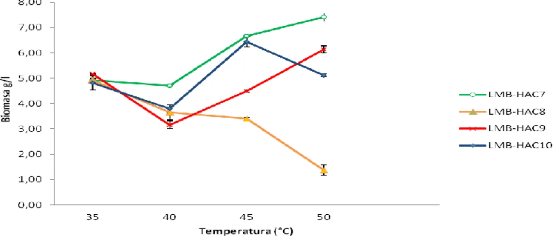Figura 10: Variación de la biomasa de cepas fúngicas de celulasas neutroalcalinas  en diferentes temperaturas de crecimiento