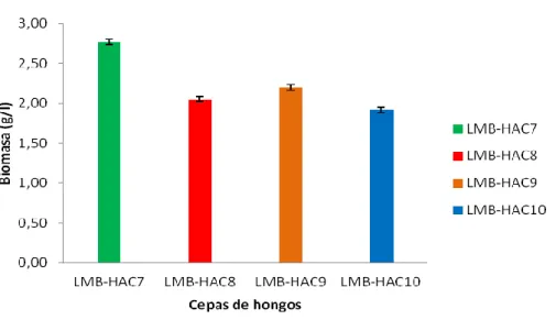 Figura  11:  Comparación  de  la  biomasa  de  hongos  productores  de  celulasas  neutroalcalinas a 50°C