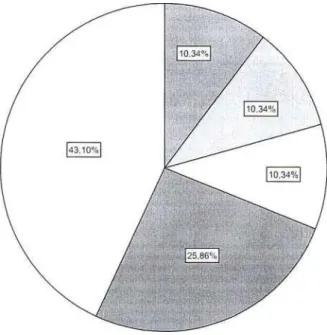 Gráfico N° 04 