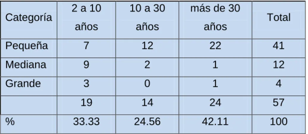Cuadro 11. Antigüedad de la maquinaria por categoría 