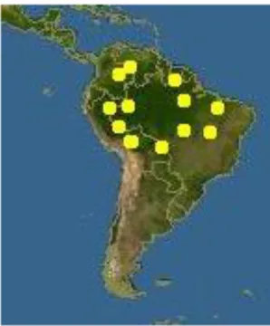 Figura 8. Mapa de distribución mundial de Maquira coriacea 