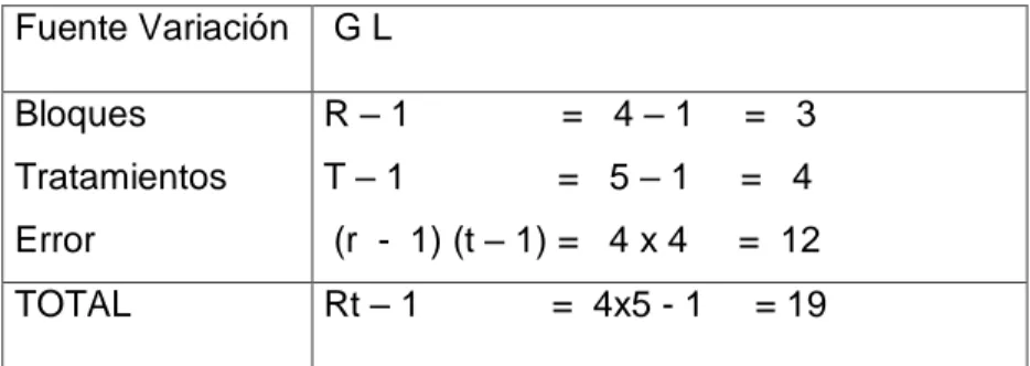 CUADRO Nº 02: ANÁLISIS DE VARIANCIA  Fuente Variación   G L  Bloques  Tratamientos  Error  R – 1               =   4 – 1     =   3 T – 1               =   5 – 1     =   4   (r  -  1) (t – 1) =   4 x 4     =  12  TOTAL  Rt – 1             =  4x5 - 1     = 1