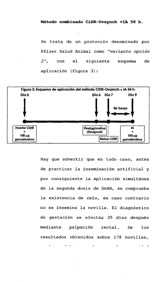 Figura 3: Esquema de aplicación del método CiDR-OVsynch  +  lA 56 h. 