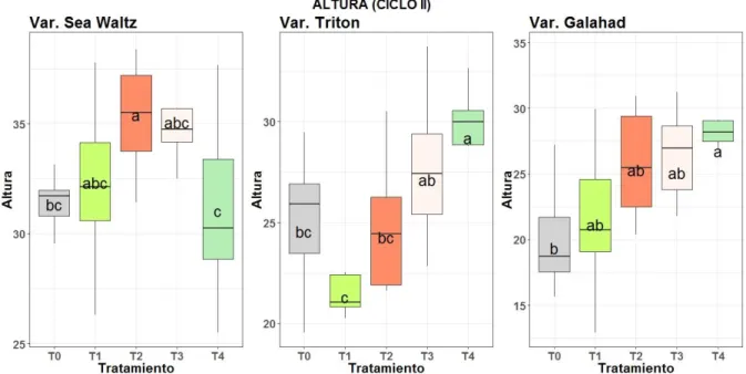 Figura 7: Altura por variedades en segundo ciclo productivo  Fuente: Cornejo y Zúñiga, 2020 