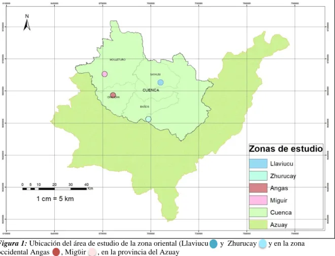 Figura 1: Ubicación del área de estudio de la zona oriental (Llaviucu      y  Zhurucay      y en la zona  occidental Angas      , Migϋir      , en la provincia del Azuay 