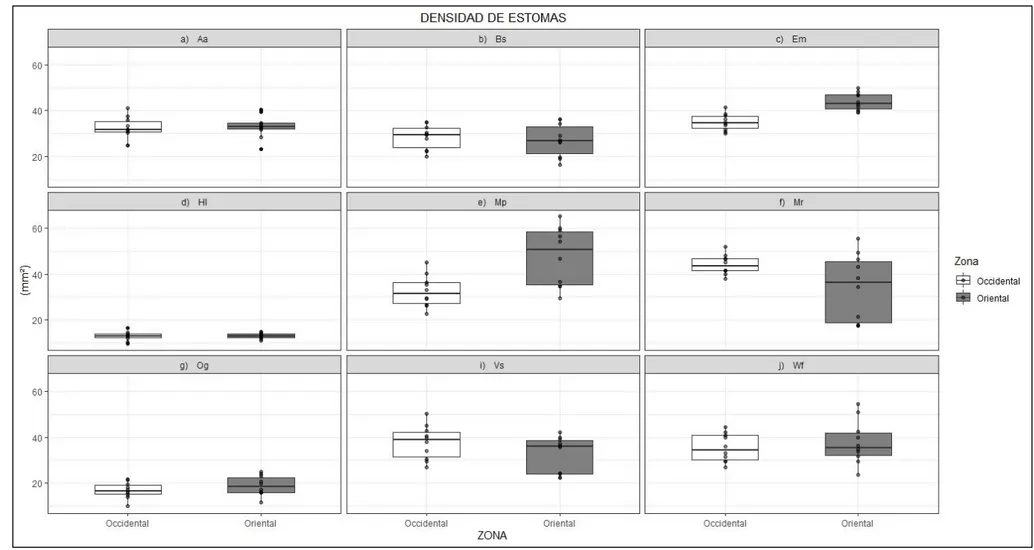 Figura 7: Representación de los valores y de la media de la densidad de estomas de nueve especies nativas compartidas en la zona occidental y oriental de la provincia  del Azuay, su área es de 1 mm² 