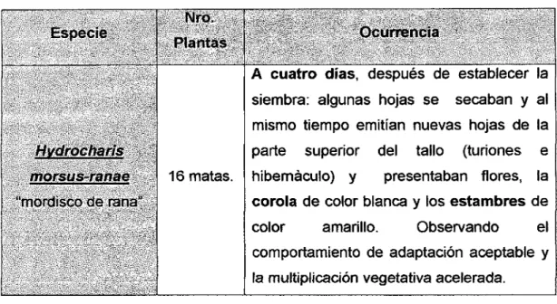 Cuadro N° 05.  Evaluación de la especie, previo a la siembra en el área. 