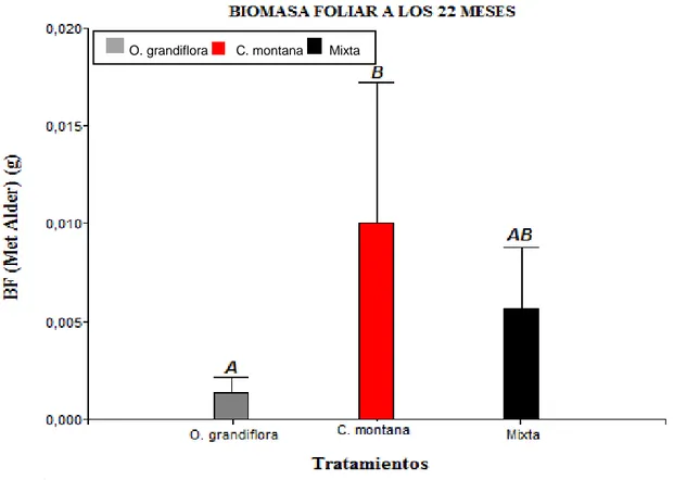 Figura 6 . Biomasa foliar  de plantas. Barras verticales indican la desviación estándar (P&lt;0,05)