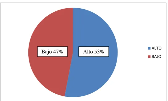 GRÁFICO N° 1 