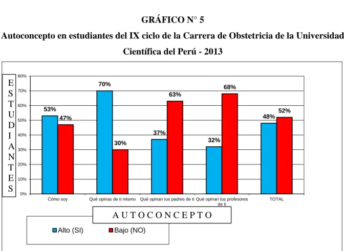 GRÁFICO N° 5 