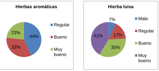 Gráfico 6 