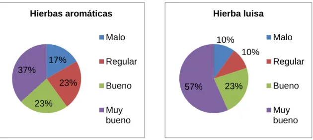 Gráfico 12 