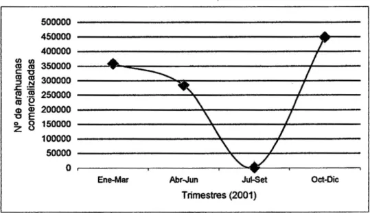 Figura N° 4. Extracción de crías de arahuana a nivel regional  (DIREPE, 2001). Fuente: Proyecto