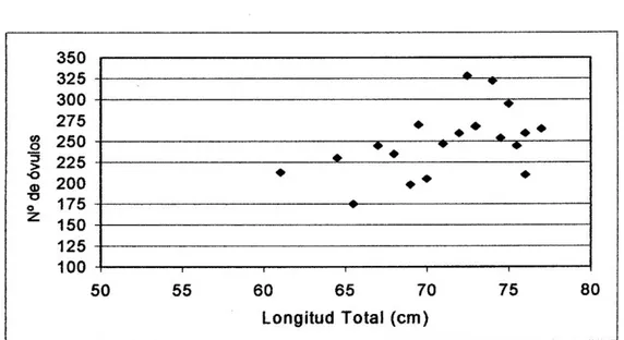 Figura N° 6. Recta de ajuste en relación a la longitud total vs. el n° de óvulos  producidos por hembra del arahuana en el área de estudio