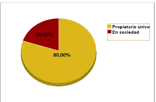 Gráfico N° 1  