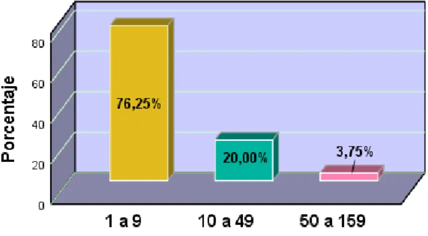 Gráfico N° 3  
