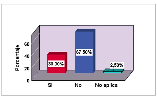 Gráfico N° 7  