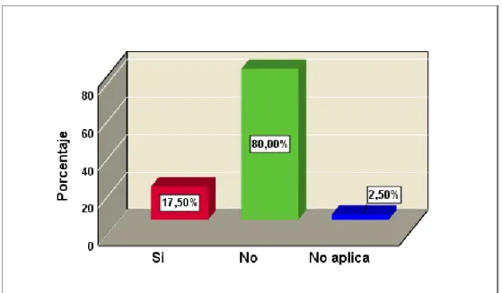 Gráfico N° 9  