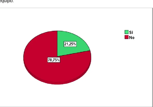 Gráfico N° 13  