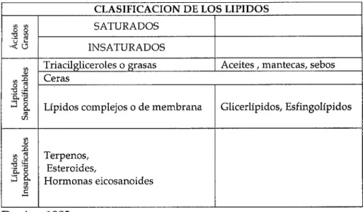 CUADRO  N° 01  Clasificación de los lípidos 