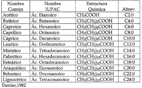 CUADRO No  03:  Ácidos grasos más comunes. 
