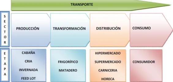 Figura Nº 07: Sectores y etapas de la cadena de ganados y carnes 