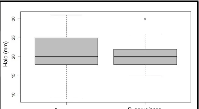Cuadro 9. Datos descriptivos de los halos de inhibición de la secreción de R. marina  frente a cepas de S